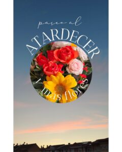 4 paseo al atardecer y flores
